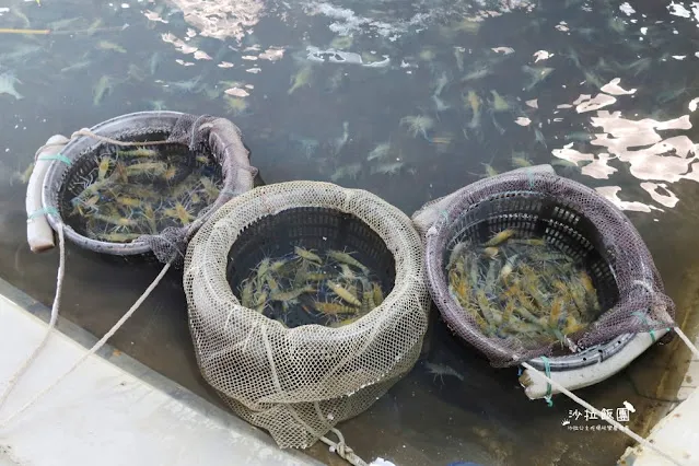 宜蘭頭城景點懶人包,宜蘭頭城一日遊 8 宜蘭頭城景點懶人包,宜蘭頭城一日遊