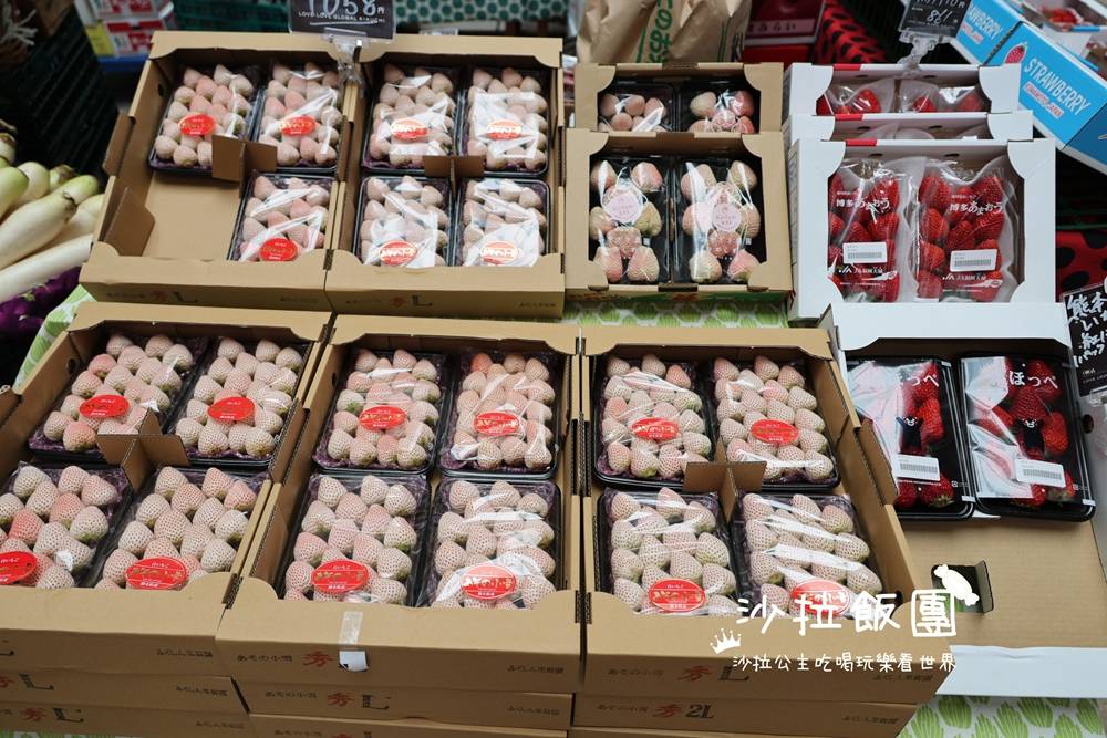 麗星郵輪探索星號強勢回歸!!六天五夜日本熊本、鹿兒島、那霸 107 麗星郵輪探索星號強勢回歸!!六天五夜日本熊本、鹿兒島、那霸