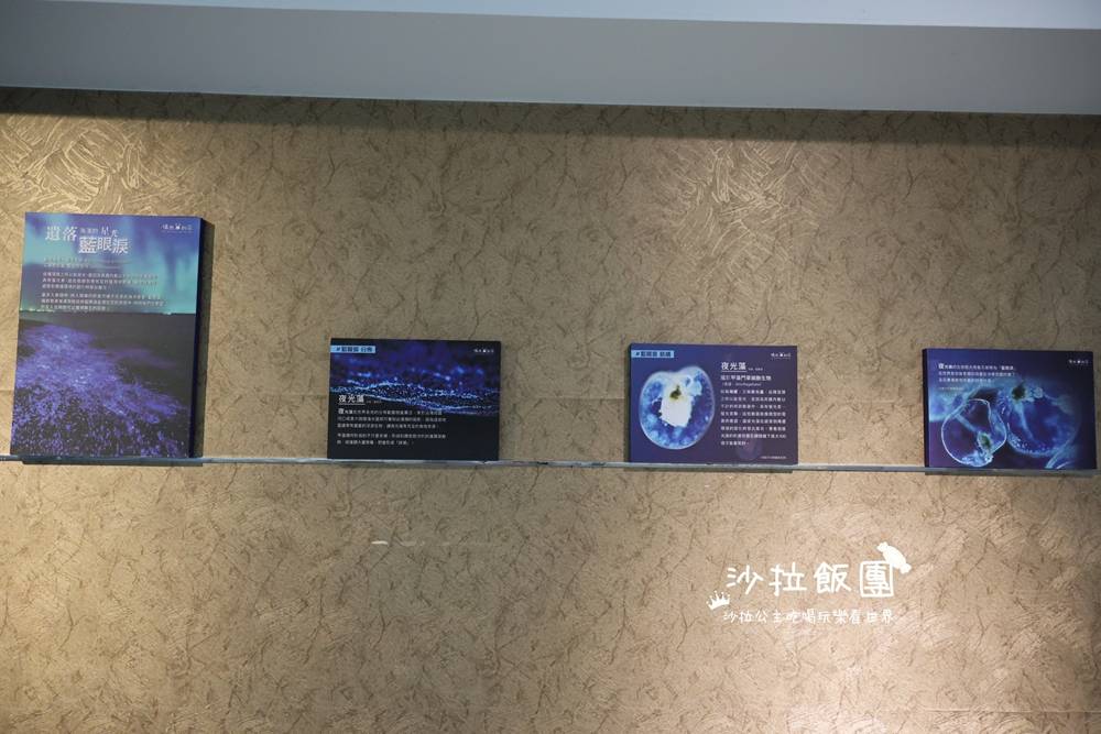 北海岸親子飯店『福泰翡翠灣渡假飯店』百坪親子遊戲室,每間都是海景房 12 北海岸親子飯店『福泰翡翠灣渡假飯店』百坪親子遊戲室,每間都是海景房