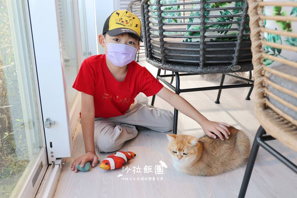 『擼LALA Sweets』宜蘭貓咪甜點咖啡 17 『擼LALA Sweets』宜蘭貓咪甜點咖啡