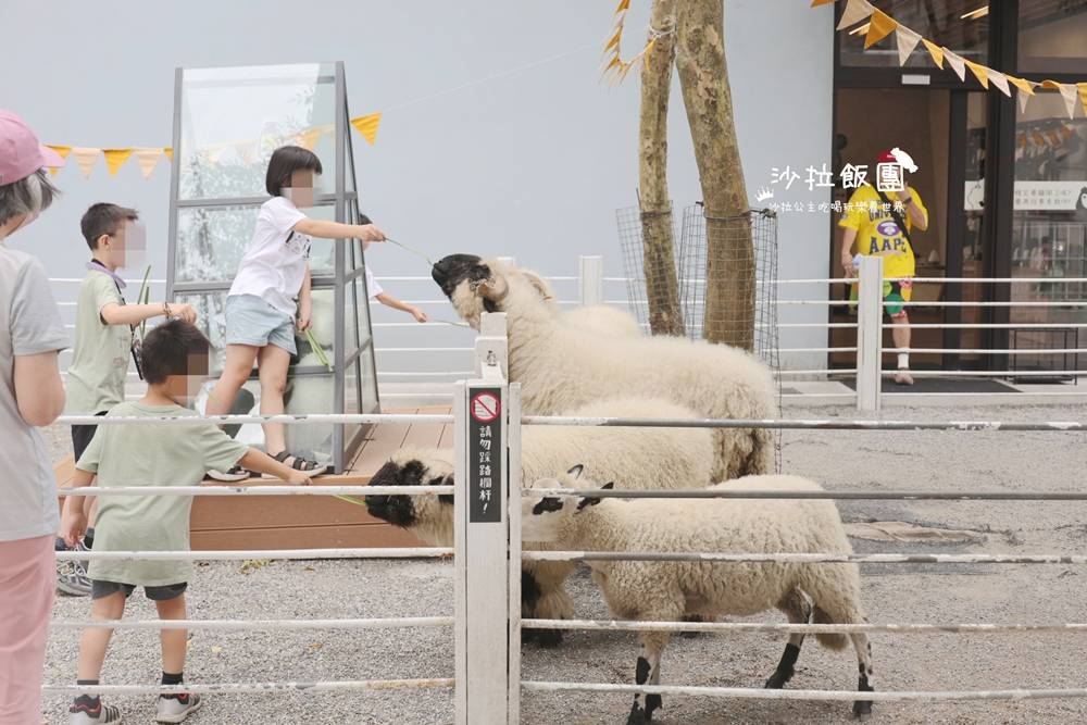 宜蘭咖啡『黑RURU CAFE』熊貓羊、笑笑羊互動、宜蘭景點
