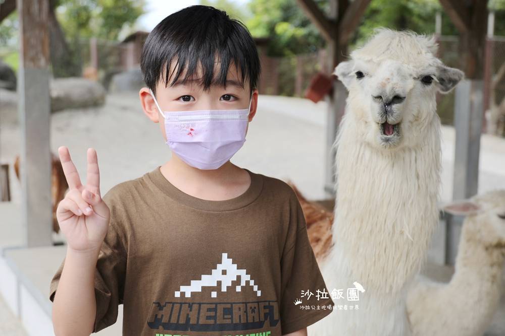 宜蘭綠舞最新滑索,日式庭園、餵動物、撸貓咖啡一站式旅行 10 宜蘭綠舞最新滑索,日式庭園、餵動物、撸貓咖啡一站式旅行
