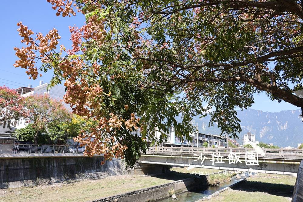 花蓮景點『吉安溪台灣欒樹美境』季節限定美景 2 花蓮景點『吉安溪台灣欒樹美境』季節限定美景