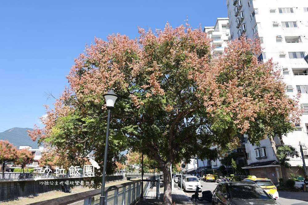 花蓮景點『吉安溪台灣欒樹美境』季節限定美景 3 花蓮景點『吉安溪台灣欒樹美境』季節限定美景