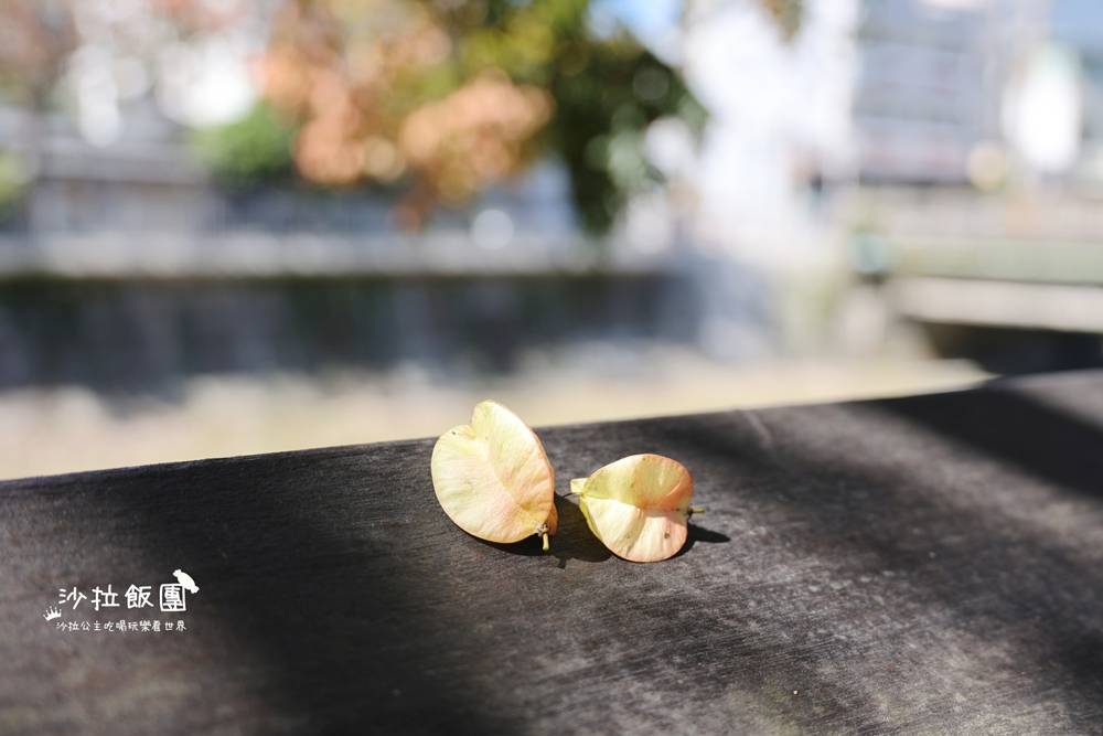 花蓮景點『吉安溪台灣欒樹美境』季節限定美景 5 花蓮景點『吉安溪台灣欒樹美境』季節限定美景