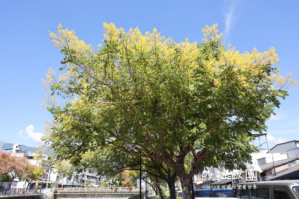 花蓮景點『吉安溪台灣欒樹美境』季節限定美景 6 花蓮景點『吉安溪台灣欒樹美境』季節限定美景