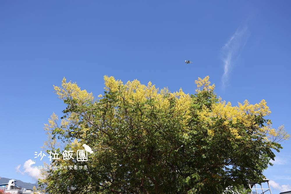 花蓮景點『吉安溪台灣欒樹美境』季節限定美景 7 花蓮景點『吉安溪台灣欒樹美境』季節限定美景