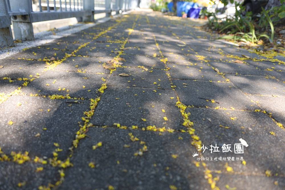 花蓮景點『吉安溪台灣欒樹美境』季節限定美景 8 花蓮景點『吉安溪台灣欒樹美境』季節限定美景