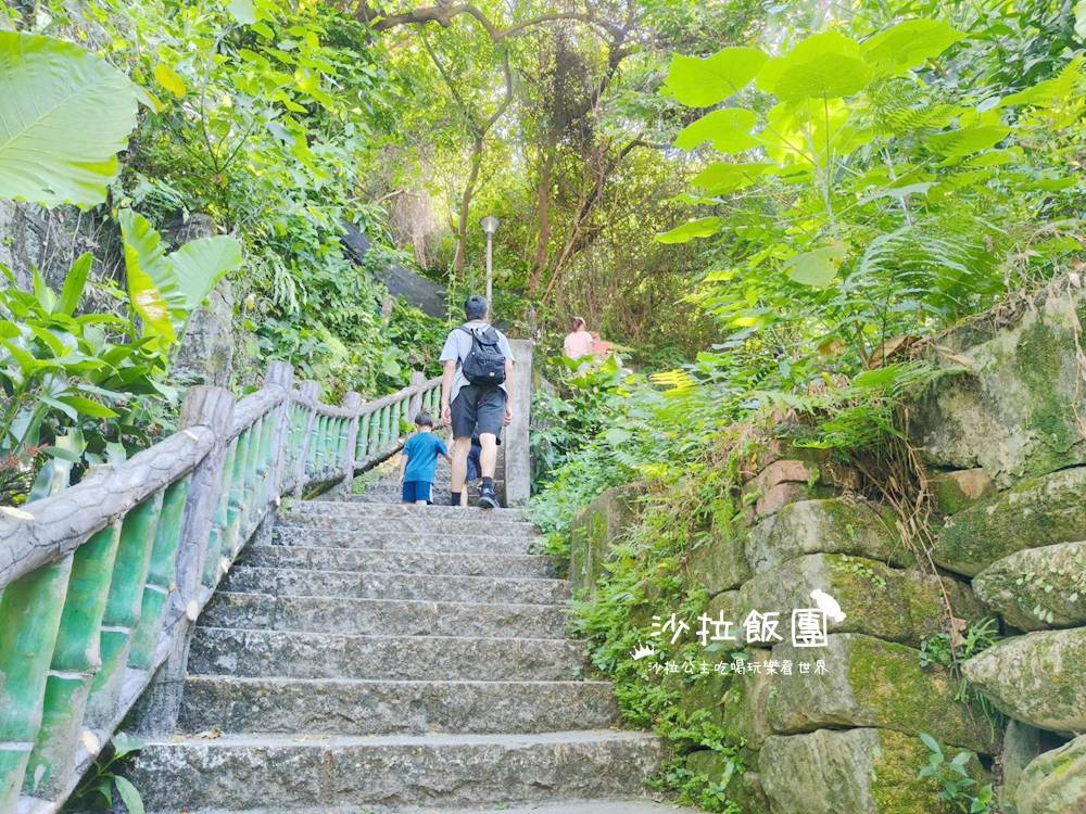 台北景點『森林方舟』圓山新亮點、眺望台北101