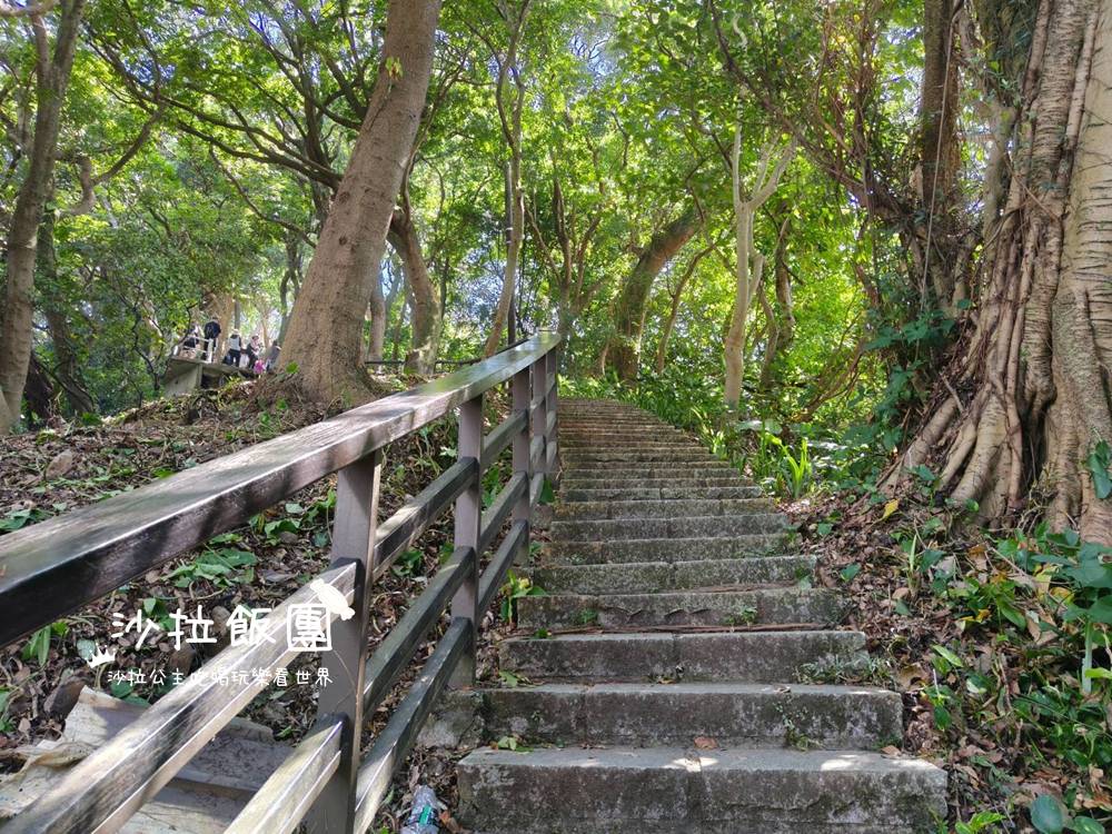 台北景點『森林方舟』圓山新亮點、眺望台北101