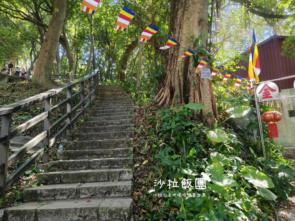 台北景點『森林方舟』圓山新亮點、眺望台北101