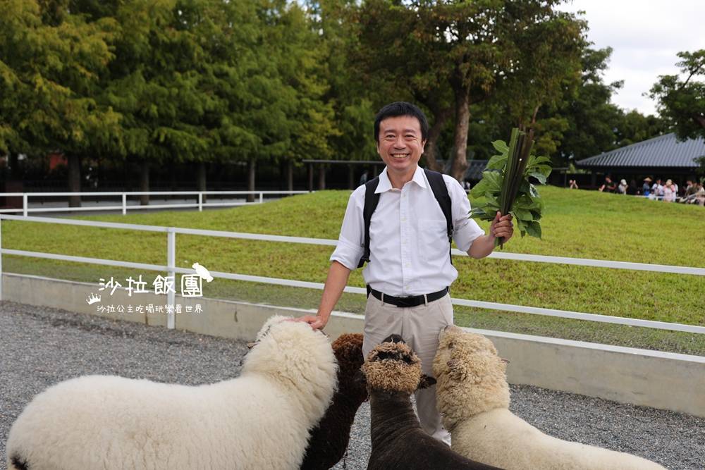 宜蘭三星『樹懶餐廳萌寵農場』美食、景點一站式玩樂 8 宜蘭三星『樹懶餐廳萌寵農場』美食、景點一站式玩樂
