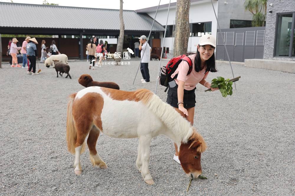 宜蘭三星『樹懶餐廳萌寵農場』美食、景點一站式玩樂 10 宜蘭三星『樹懶餐廳萌寵農場』美食、景點一站式玩樂