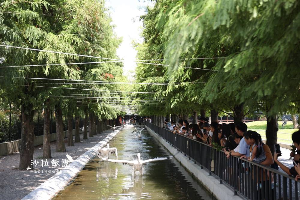 宜蘭三星『樹懶餐廳萌寵農場』美食、景點一站式玩樂 18 宜蘭三星『樹懶餐廳萌寵農場』美食、景點一站式玩樂