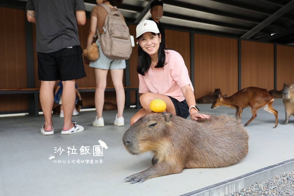 宜蘭三星『樹懶餐廳萌寵農場』美食、景點一站式玩樂 27 宜蘭三星『樹懶餐廳萌寵農場』美食、景點一站式玩樂