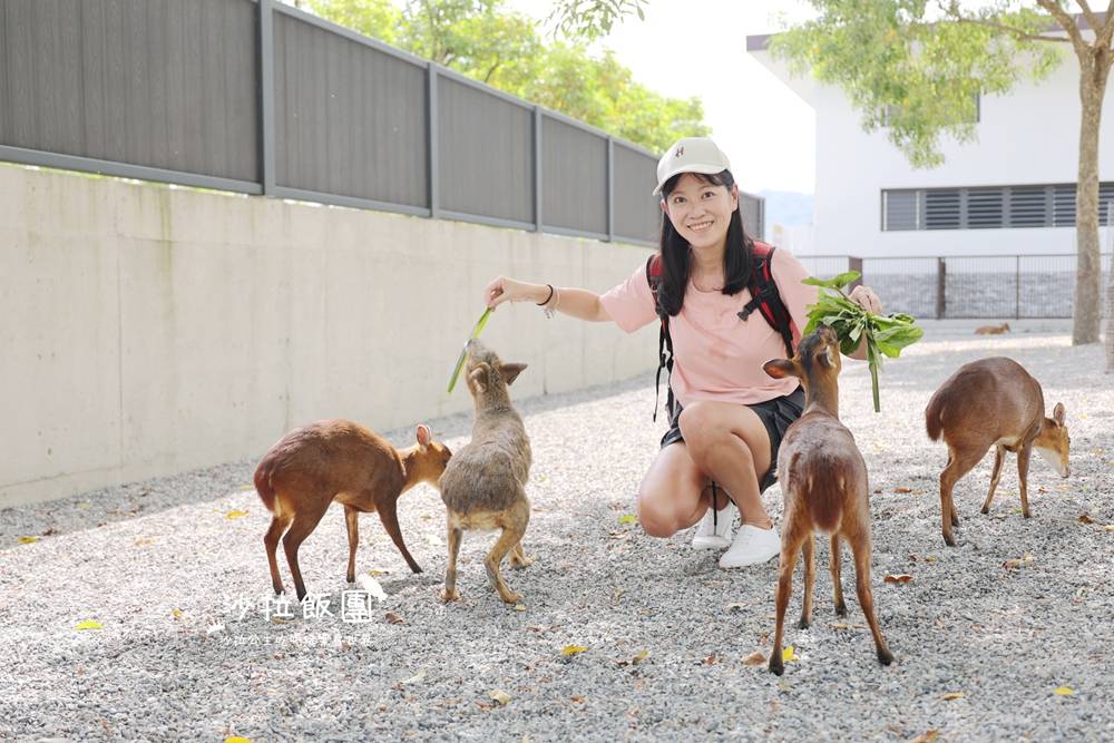 宜蘭三星『樹懶餐廳萌寵農場』美食、景點一站式玩樂