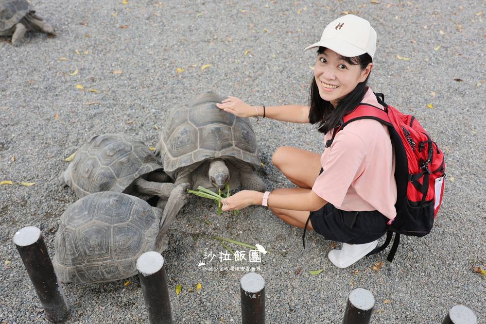 宜蘭三星『樹懶餐廳萌寵農場』美食、景點一站式玩樂 34 宜蘭三星『樹懶餐廳萌寵農場』美食、景點一站式玩樂
