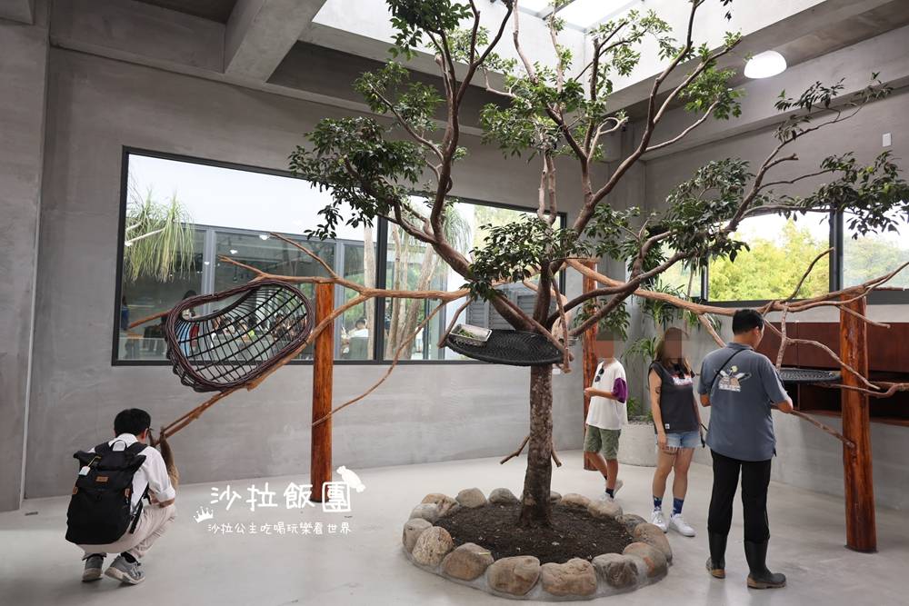 宜蘭三星『樹懶餐廳萌寵農場』美食、景點一站式玩樂 63 宜蘭三星『樹懶餐廳萌寵農場』美食、景點一站式玩樂