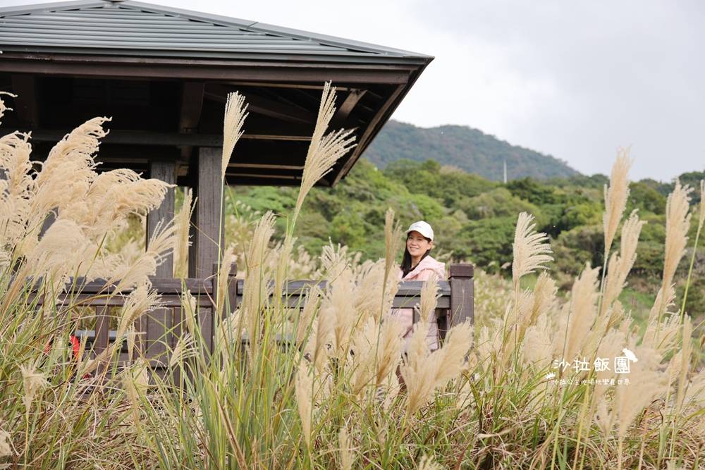 北投景點『硫磺谷』免費泡腳、地熱景觀 9 北投景點『硫磺谷』免費泡腳、地熱景觀