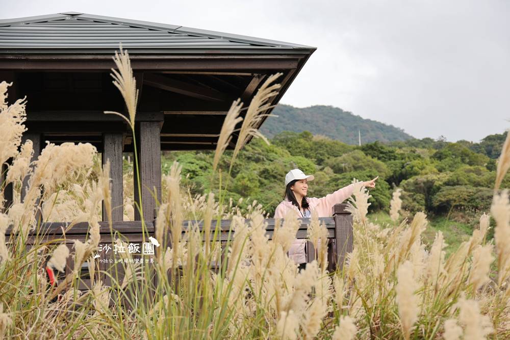 北投景點『硫磺谷』免費泡腳、地熱景觀 8 北投景點『硫磺谷』免費泡腳、地熱景觀