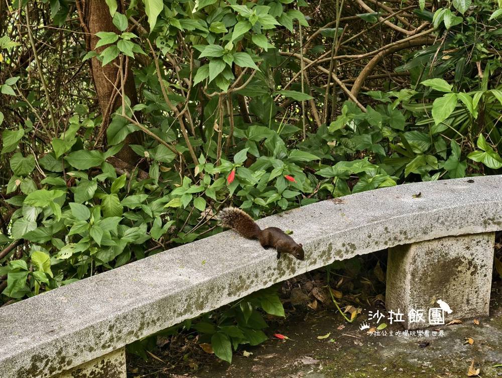 士林景點『劍潭山微風平台‧北眼觀景台』近捷運輕鬆賞台北市景