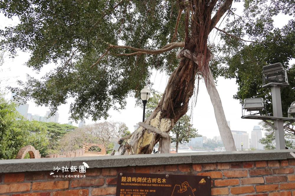 廈門景點『鼓浪嶼』最美轉角、日光岩、皓月園