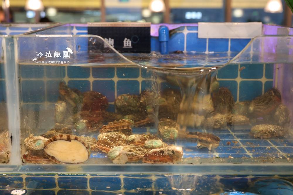 廈門吃到飽『漁緯港海鮮自助SM廣場三期』蒸氣海鮮蒸出原汁原味 7 廈門吃到飽『漁緯港海鮮自助SM廣場三期』蒸氣海鮮蒸出原汁原味