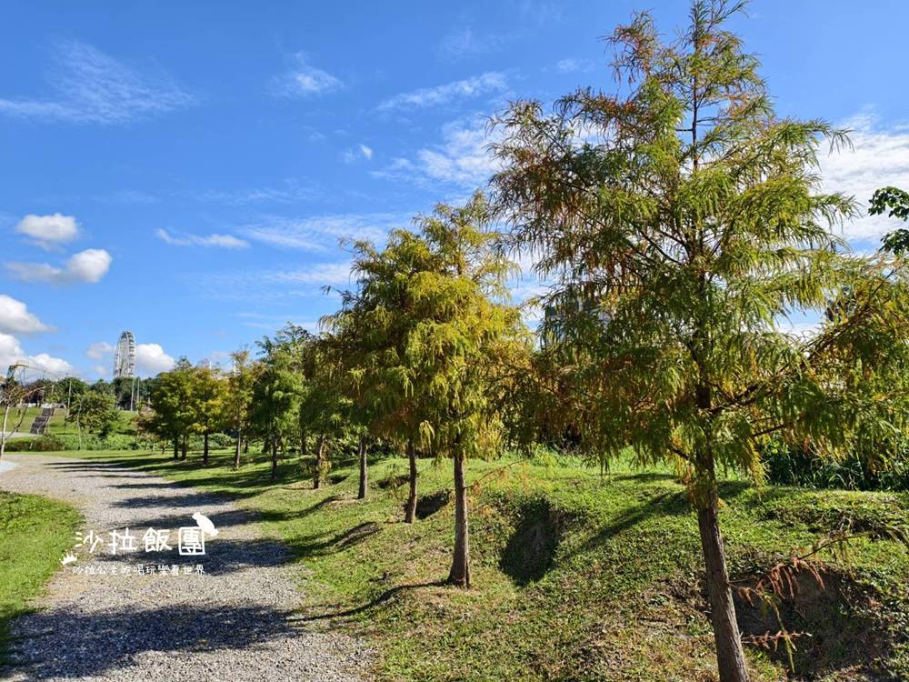 隱身都市的生態綠洲,漫步最美水中步道 7 隱身都市的生態綠洲,漫步最美水中步道