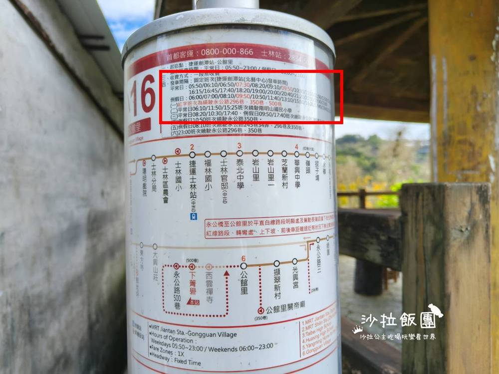 冬日限定！隱身永公路的落羽松秘境