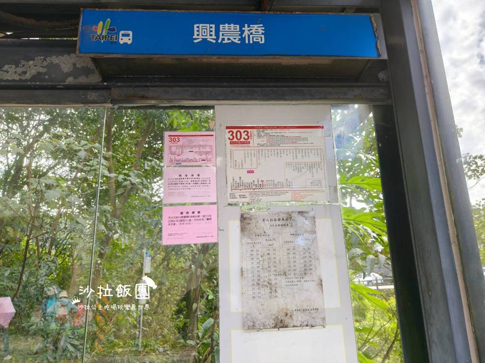 冬日限定！隱身永公路的落羽松秘境