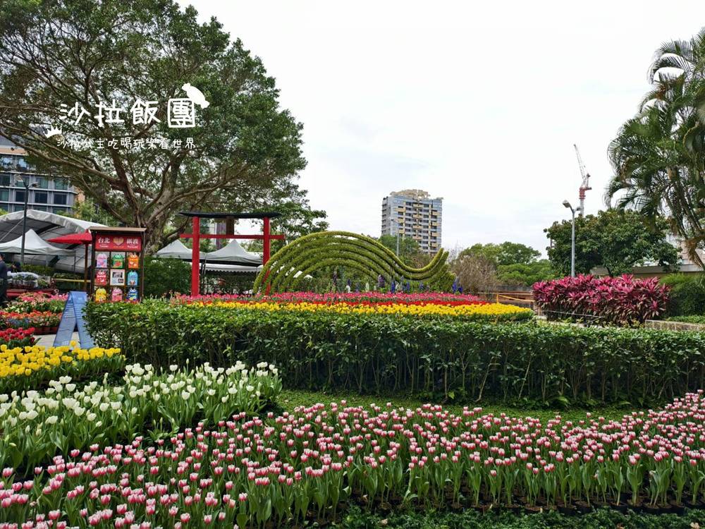 2026士林官邸鬱金香展,11萬花朵 4 2026士林官邸鬱金香展,11萬花朵