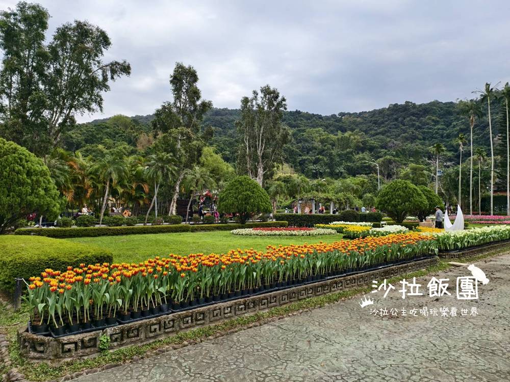 2026士林官邸鬱金香展,11萬花朵 14 2026士林官邸鬱金香展,11萬花朵