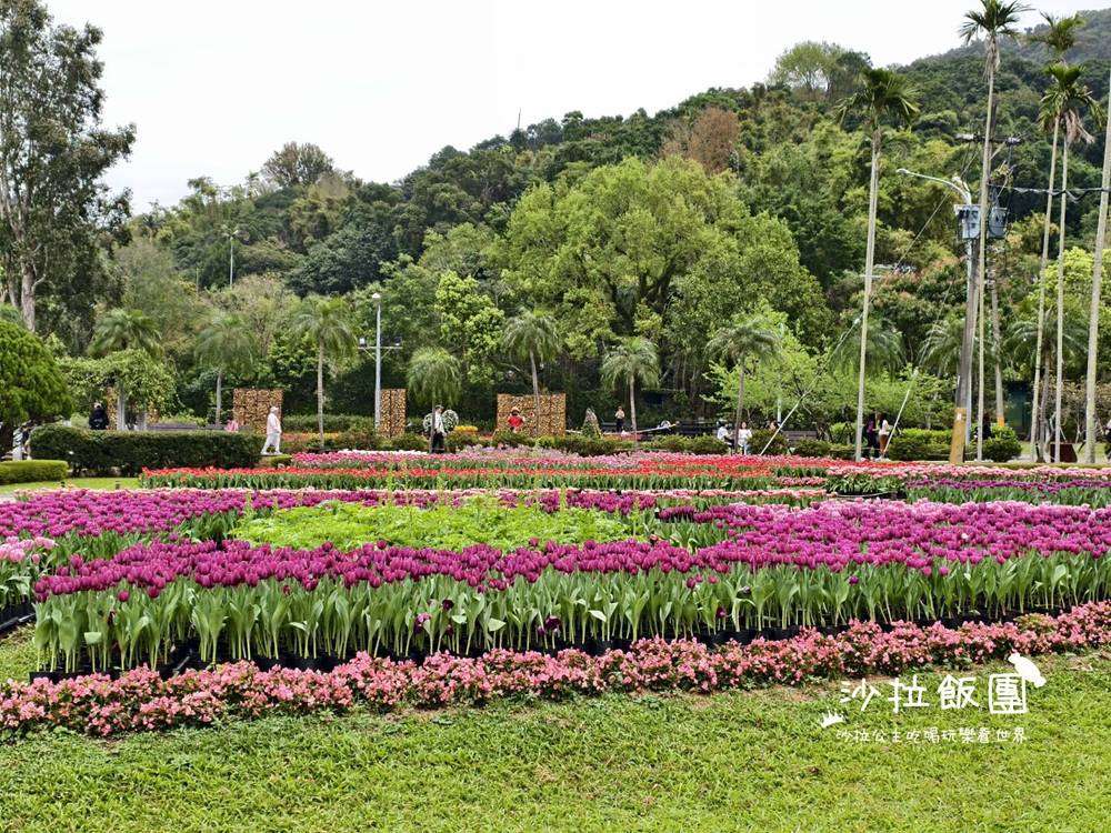 2026士林官邸鬱金香展,11萬花朵 15 2026士林官邸鬱金香展,11萬花朵