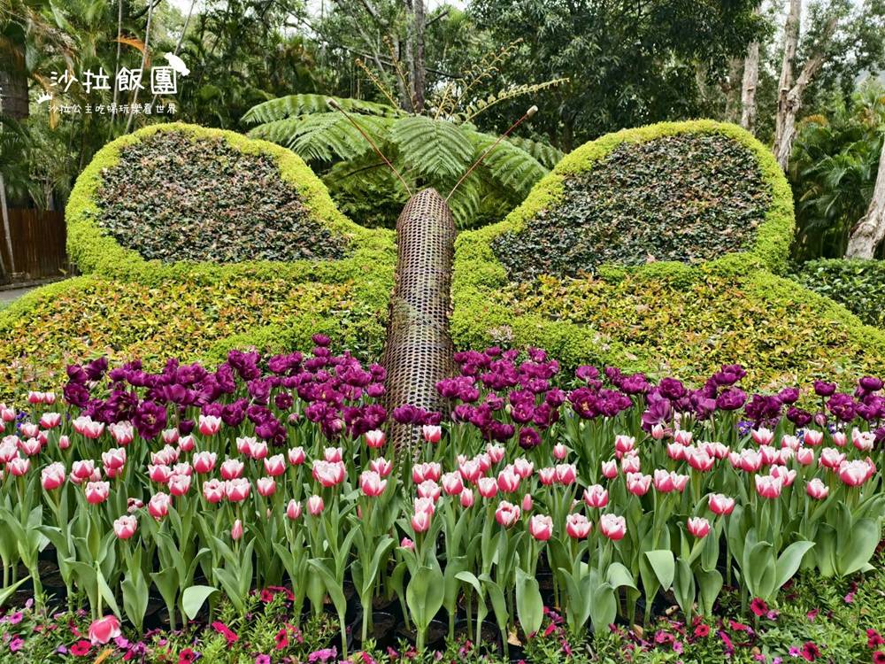 2026士林官邸鬱金香展,11萬花朵 21 2026士林官邸鬱金香展,11萬花朵