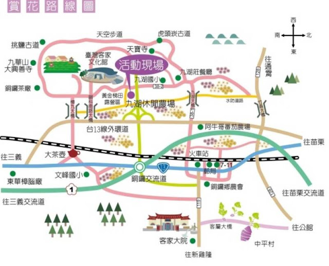 銅鑼杭菊搭火車也可以賞花!!交通指引 34 銅鑼杭菊搭火車也可以賞花!!交通指引