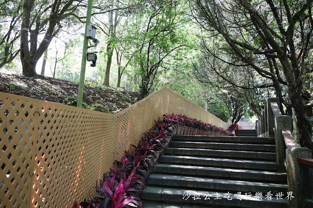 包船輕鬆遊日月潭伊達邵美食推薦、玄光碼頭、阿嬤茶葉蛋、朝霧碼頭 25 包船輕鬆遊日月潭伊達邵美食推薦、玄光碼頭、阿嬤茶葉蛋、朝霧碼頭