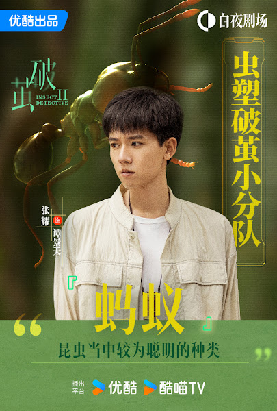 2024電視劇推薦，必追背著善宰跑、玫瑰的故事，春色寄情人也很好看