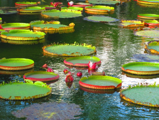 IMG_2731.jpg IMG_2731.jpg