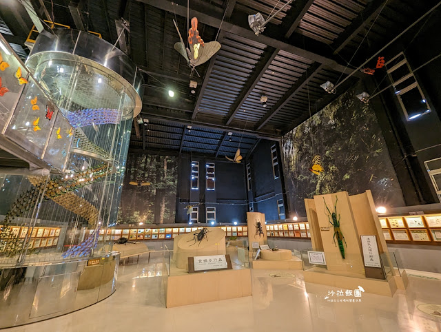 嘉義親子景點『新嘉大昆蟲館』全球唯一旋轉彩蝶柱、蝴蝶溫室花園 52 嘉義親子景點『新嘉大昆蟲館』全球唯一旋轉彩蝶柱、蝴蝶溫室花園