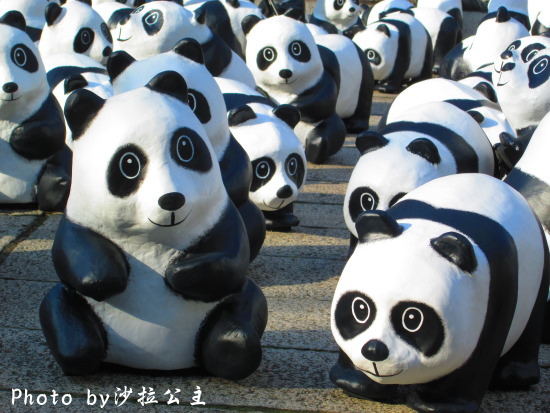 IMG_7364.jpg IMG_7364.jpg