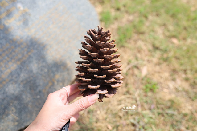 金門景點『金門大學』感受青春的氣息 12 金門景點『金門大學』感受青春的氣息