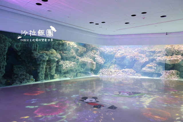 全台最頂級夜宿水族館!桃園和逸Blu Night宿海奇遇》Xpark住一晚 33 全台最頂級夜宿水族館!桃園和逸Blu Night宿海奇遇》Xpark住一晚