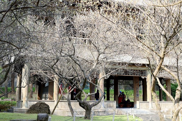 台北免費景點王羲之的八大勝景『至善園』中式庭園充分表現典雅造景藝術