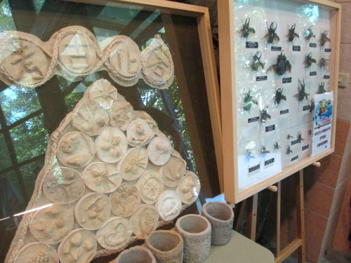 芝山文化生態綠園【士林】 9 芝山文化生態綠園【士林】