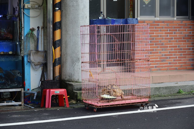 龜吼漁港美食『阿嬌海鮮館』浮誇系小卷米粉、金字塔炒飯必點、菜單 3 龜吼漁港美食『阿嬌海鮮館』浮誇系小卷米粉、金字塔炒飯必點、菜單