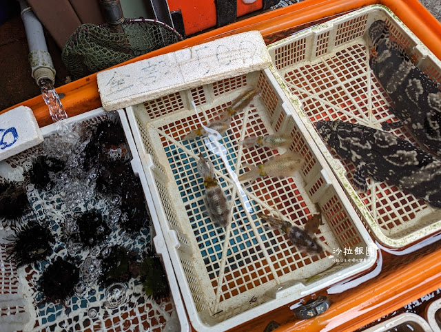 龜吼漁夫市集現剖現吃海膽好鮮甜 14 龜吼漁夫市集現剖現吃海膽好鮮甜