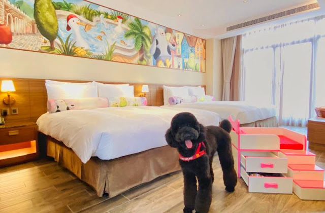 【寵物住宿】寵物友善飯店,毛小孩也要爽爽住 23 【寵物住宿】寵物友善飯店,毛小孩也要爽爽住