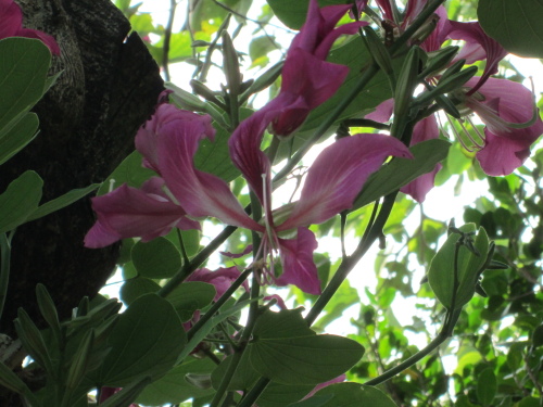 IMG_3149.jpg IMG_3149.jpg