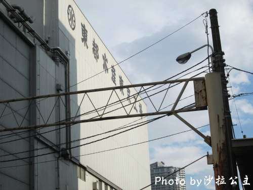 IMG_3779.jpg IMG_3779.jpg