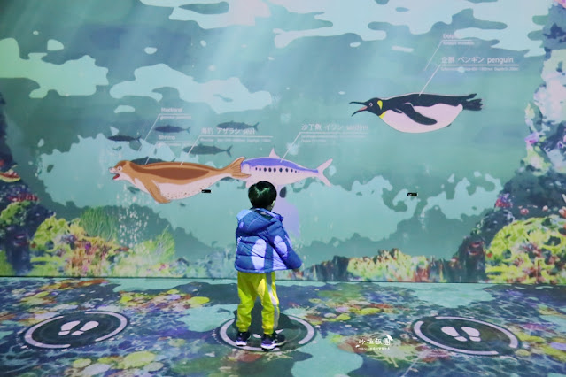 超震撼‼️最強展覽光之影海洋展體驗被海水包圍360°沉浸式光影藝術 18 超震撼‼️最強展覽光之影海洋展體驗被海水包圍360°沉浸式光影藝術